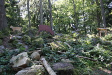 IMG_8686.JPG