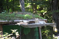 IMG_8692.JPG
