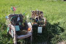 IMG_8732.JPG