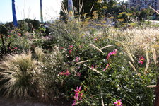 IMG_8741.JPG