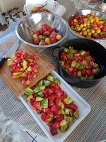 IMG_20230907_161917.jpg