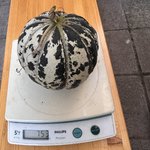 IMG_8019.jpeg