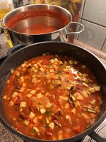 IMG_8029.jpeg