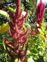 20230908_105917.webp