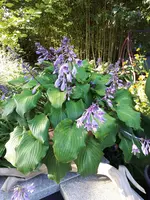 20230908_084723.webp