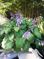 20230908_084723.jpg