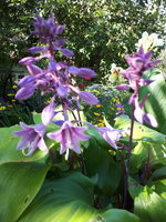 20230908_105853.jpg