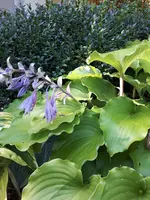 20230908_105255(0).webp