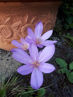 20230908_174308.jpg