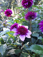20230908_085016.jpg