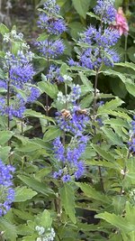 IMG_8024.jpeg