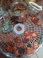 IMG_20230830_141853.webp