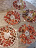 IMG_20230830_133632.webp