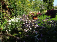 DSC03144.JPG