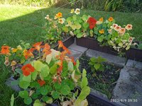 IMG_20230909_093033.jpg