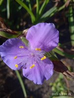 IMG_20230909_092920_1.jpg
