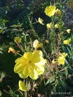 IMG_20230909_092904.webp