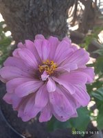 IMG_20230908_161509.jpg