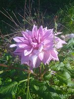 IMG_20230908_161052_1.jpg