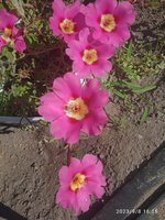 IMG_20230908_161548.jpg