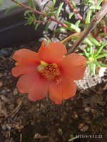 IMG_20230909_122237.jpg