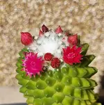 20230909_133404.webp