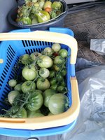 IMG_20230909_180438.jpg