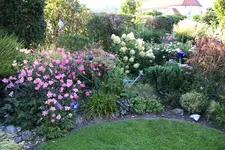 Sept.0523.webp