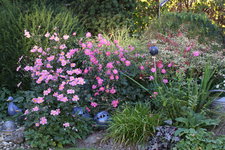 Sept.0623.JPG