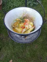 IMG_20230909_183142.webp
