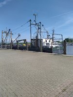 IMG_20220517_133135.jpg