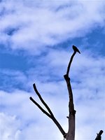 IMG_20210816_153445_1.jpg
