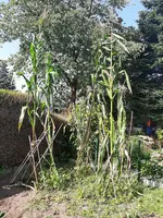 20230910_144803.webp