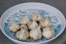 Knoblauchernte 0223.JPG
