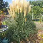 20230910_122341.webp