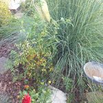 20230910_181553.jpg