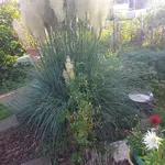 20230910_181612.webp