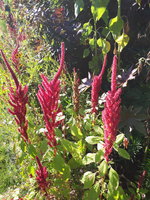 20230910_164624.jpg