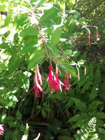 20230909_110458.jpg