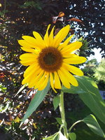 20230910_164649.jpg