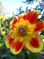 20230909_103402.webp