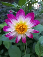 20230909_133936.webp