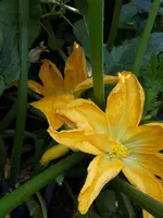 20230909_112017.webp