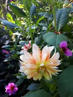20230909_112024.webp