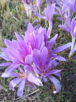 20230908_072808.jpg