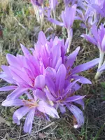 20230908_072808.webp
