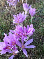 20230908_072800.jpg