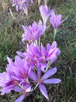 20230908_072800.webp