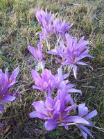 20230908_072812.jpg