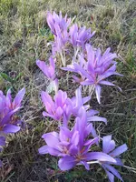 20230908_072812.webp